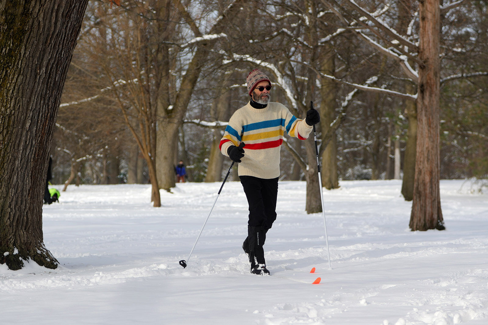 Cross-country skiing in Delaware Park